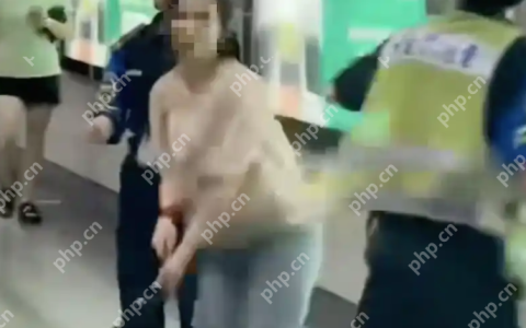 女子地铁拒绝安检追打工作人员被行拘