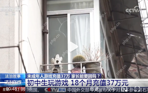 初中生玩游戏18个月充值超37万元是怎么回事？详细介绍