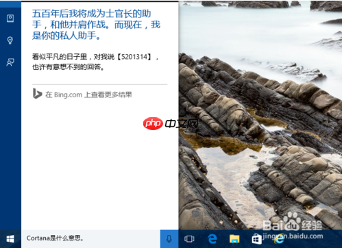 Win10小娜会翻译吗?教你如何使用小娜进行翻译吧
