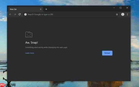 Win10无法打开Chrome Canary最新版，出现网页崩溃