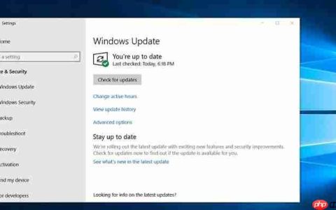 Win10 1909（19H2）更新，更多细节曝光