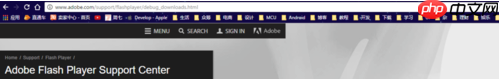 谷歌浏览器adobe flash player不是最新版本该怎么办?