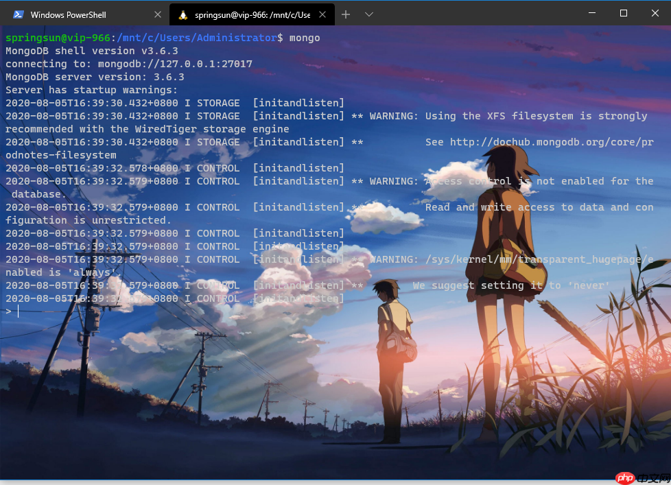 Windows10上安装Linux子系统(WSL2,Ubuntu),配合Windows Terminal使用,还要什么自行车