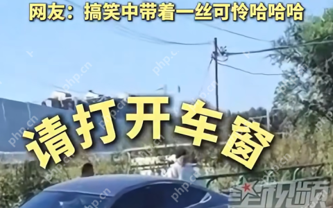 智能汽车的尴尬时刻：车轮空转自动落锁，车主隔窗与AI“对话”