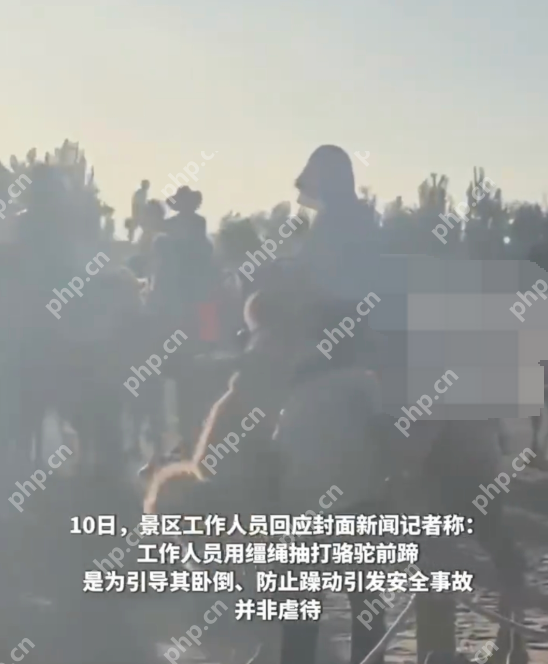游客拍骆驼挨打被要求删视频 工作人员：事发时骆驼情绪不稳定 - 创想鸟