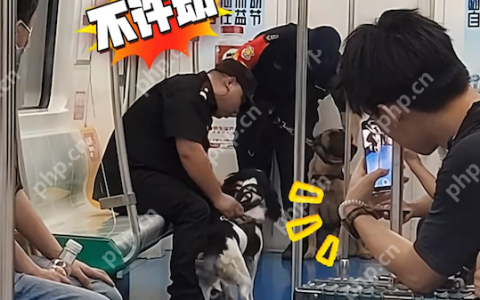 两只警犬在地铁上吵架 网友:同事之间意见有分歧很正常
