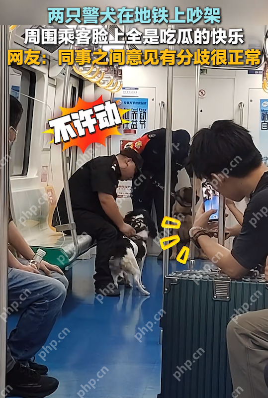 两只警犬在地铁上吵架 网友:同事之间意见有分歧很正常 - 创想鸟