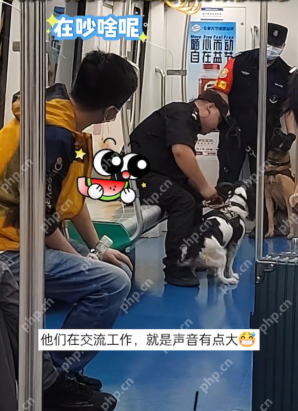 两只警犬在地铁上吵架 网友:同事之间意见有分歧很正常 - 创想鸟