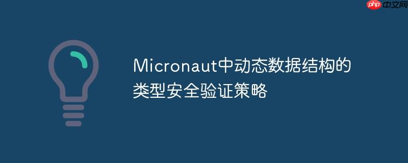 Micronaut中动态数据结构的类型安全验证策略