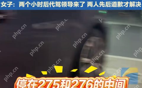 成都一代驾司机停车占用两车位，女车主恐有诈起争执