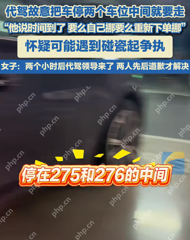 成都一代驾司机停车占用两车位,女车主恐有诈起争执 - 创想鸟