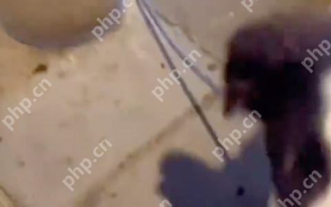 女子将狗拴在石墩上，坐在一旁休息,路过情侣称被狗吓到要求道歉