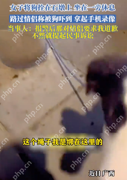 女子将狗拴在石墩上,坐在一旁休息,路过情侣称被狗吓到要求道歉 - 创想鸟