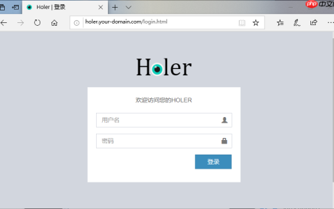 使用Holer服务端软件搭建属于自己的内网穿透