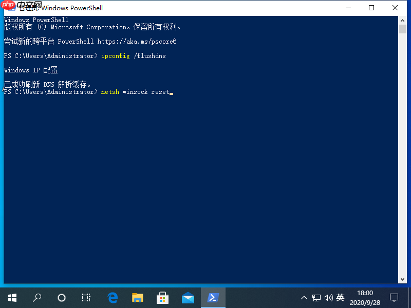 win10电脑出现DNS异常上不了网怎么办?
