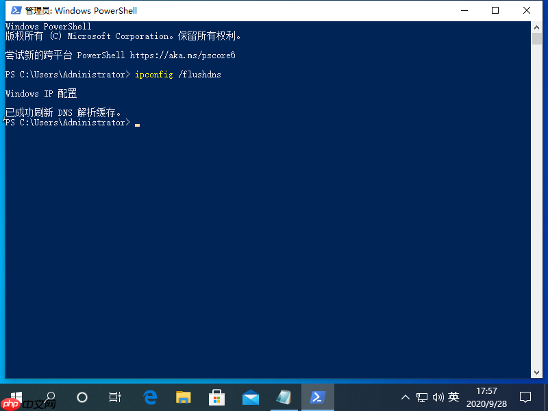 win10电脑出现DNS异常上不了网怎么办?