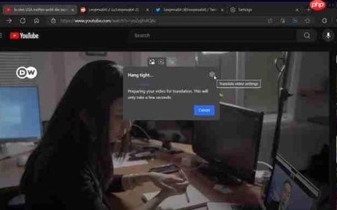 Edge 浏览器 Canary 版测试新特性：视频播放控件新增翻译切换开