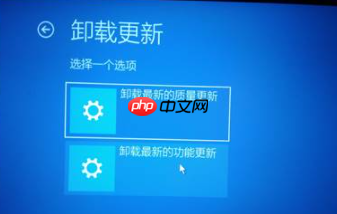 Win10 20H2版本KBKB5005565,出现使用中任务栏卡死的情况
