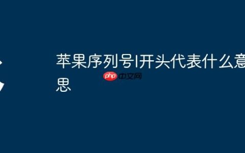 苹果序列号l开头代表什么意思