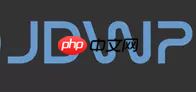 java远程调试(remote debugging)的那些事