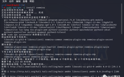 Linux 如何连接Windows远程桌面