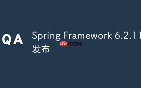 Spring Framework 6.2.11 发布