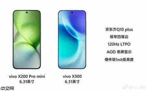 6.31英寸最强小直屏！vivo X300屏幕规格揭晓：最窄四等边+超声波指纹2.0