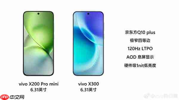 6.31英寸最强小直屏!vivo X300屏幕规格揭晓:最窄四等边+超声波指纹2.0