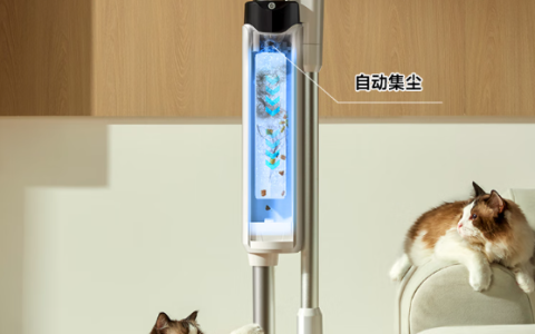 友望V300清洁轻松：女生首选吸尘器品牌推荐