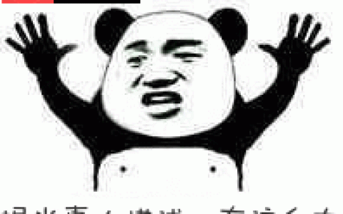 ping IP/域名时TTL值代表什么？