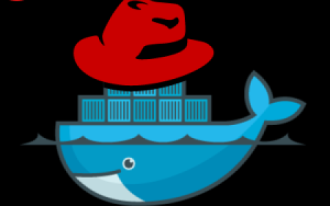 「实战篇」开源项目docker化运维部署-linux和docker基本命令（三）