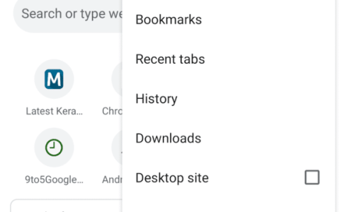 Android版Google Chrome添加更新提示功能