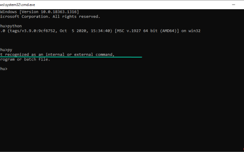 Windows 10 中的 Py 和 python 命令行