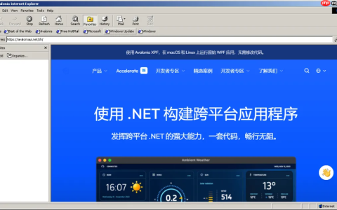 一款超级经典复古的 Windows 9x 主题风格 Avalonia UI 控件库，满满的回忆杀！