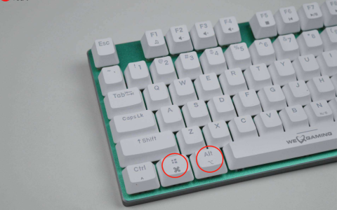教你几个解决win10按字母键就弹出不同窗口的方法