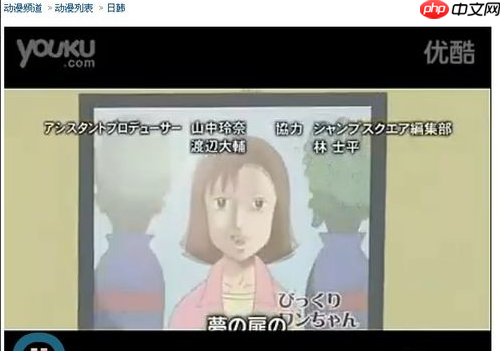 win10系统如何下载网页上的视频?