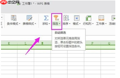 教你在win10电脑中WPS的筛选功能的步骤