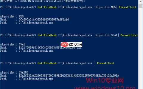 利用window自带的powershell进行文件哈希值校验