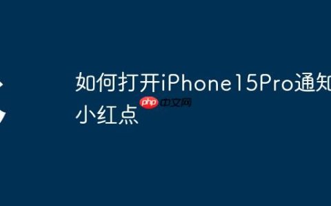 如何打开iPhone15Pro通知小红点