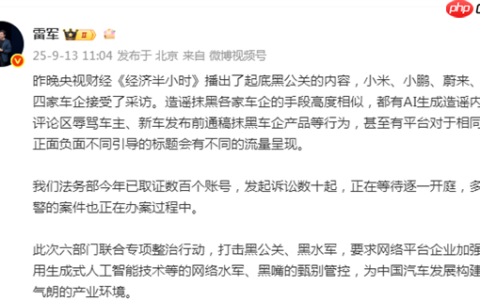 雷军自曝：已取证数百账号 发起诉讼数十起 正在等待逐一开庭