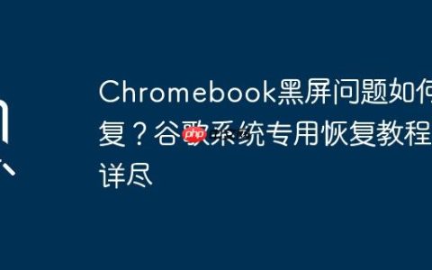 Chromebook黑屏问题如何修复？谷歌系统专用恢复教程详尽