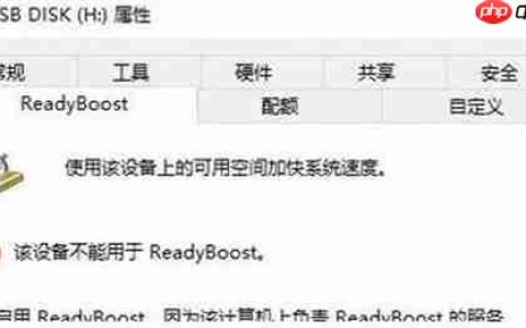 win10打不开readyboost功能怎么办？