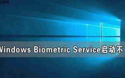 Windows Biometric Service启动不了 在哪里启动？
