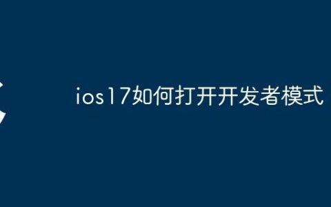 ios17如何打开开发者模式