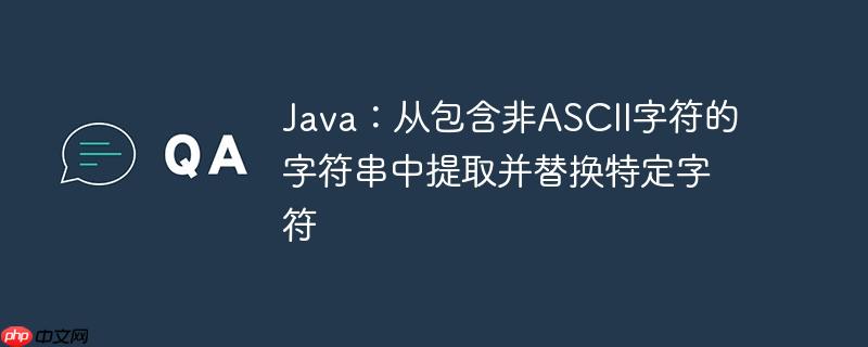 java:从包含非ascii字符的字符串中提取并替换特定字符