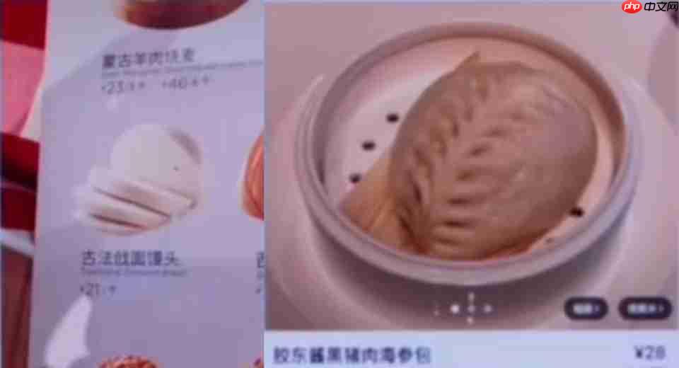 老罗连发10条微博炮轰,西贝开万人大会?真的把我看傻了...