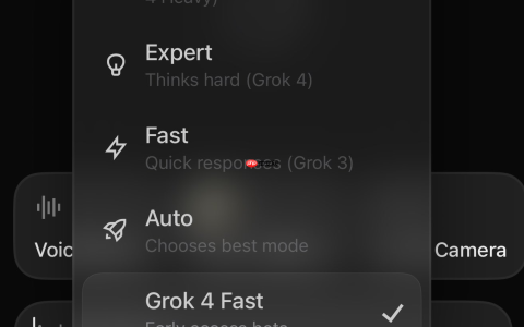 xAI 正在测试 Grok 4 Fast，宣称是“地球上最快思考模型”