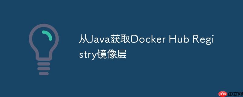 从java获取docker hub registry镜像层