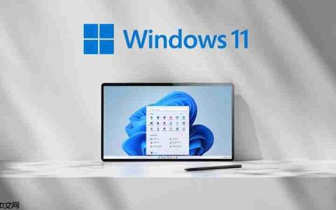 怎样在Windows 11中禁用VBS以提高性能？