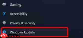 Win11以前驱动能用吗 Win11以前驱动能否用详细介绍
